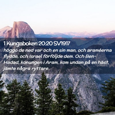 Picture 02 - 1 Kungaboken 20:20 SV1917 - höggo de ned var och en sin man, och araméerna - Bible Verse Picture