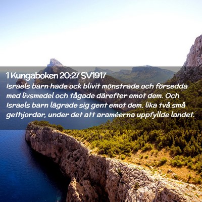 Picture 02 - 1 Kungaboken 20:27 SV1917 - Israels barn hade ock blivit mönstrade och - Bible Verse Picture