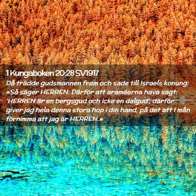 Picture 02 - 1 Kungaboken 20:28 SV1917 - Då trädde gudsmannen fram och sade till Israels - Bible Verse Picture