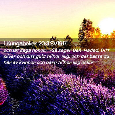 Picture 02 - 1 Kungaboken 20:3 SV1917 - och lät säga honom: »Så säger Ben-Hadad: - Bible Verse Picture