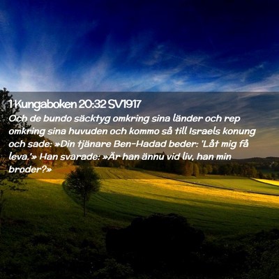 Picture 02 - 1 Kungaboken 20:32 SV1917 - Och de bundo säcktyg omkring sina länder och - Bible Verse Picture