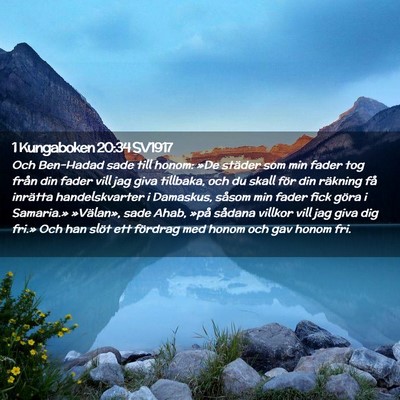 Picture 02 - 1 Kungaboken 20:34 SV1917 - Och Ben-Hadad sade till honom: »De städer som - Bible Verse Picture
