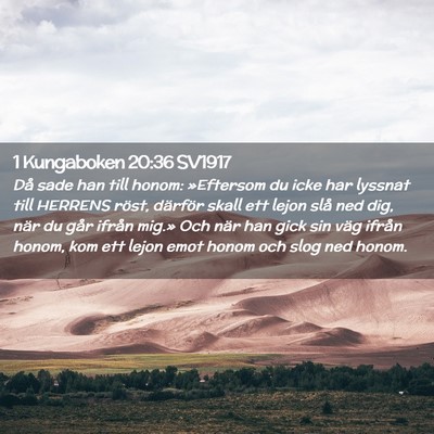 Picture 02 - 1 Kungaboken 20:36 SV1917 - Då sade han till honom: »Eftersom du icke har - Bible Verse Picture