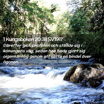 Picture 02 - 1 Kungaboken 20:38 SV1917 - Därefter gick profeten och ställde sig i - Bible Verse Picture