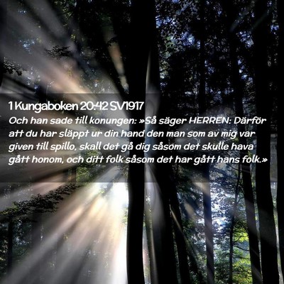 Picture 02 - 1 Kungaboken 20:42 SV1917 - Och han sade till konungen: »Så säger HERREN: - Bible Verse Picture