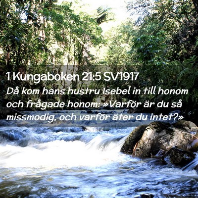 Picture 02 - 1 Kungaboken 21:5 SV1917 - Då kom hans hustru Isebel in till honom och - Bible Verse Picture
