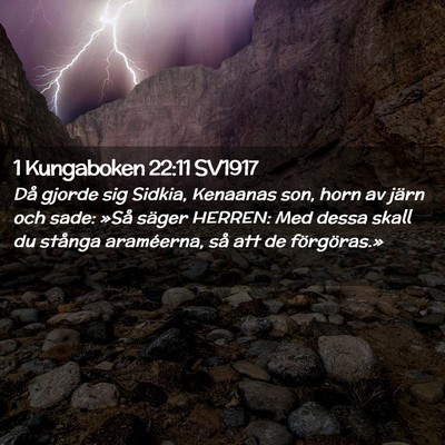 Picture 02 - 1 Kungaboken 22:11 SV1917 - Då gjorde sig Sidkia, Kenaanas son, horn av - Bible Verse Picture