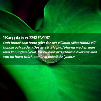 Picture 02 - 1 Kungaboken 22:13 SV1917 - Och budet som hade gått för att tillkalla Mika - Bible Verse Picture