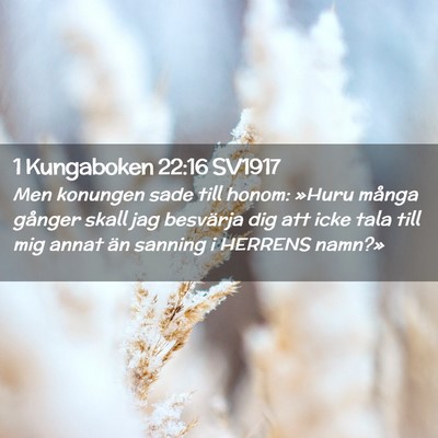 Picture 02 - 1 Kungaboken 22:16 SV1917 - Men konungen sade till honom: »Huru många - Bible Verse Picture