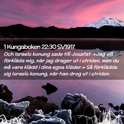 Picture 02 - 1 Kungaboken 22:30 SV1917 - Och Israels konung sade till Josafat: »Jag vill - Bible Verse Picture