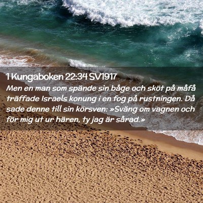 Picture 02 - 1 Kungaboken 22:34 SV1917 - Men en man som spände sin båge och sköt på - Bible Verse Picture