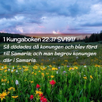 Picture 02 - 1 Kungaboken 22:37 SV1917 - Så dödades då konungen och blev förd till - Bible Verse Picture