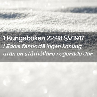 Picture 02 - 1 Kungaboken 22:48 SV1917 - I Edom fanns då ingen konung, utan en - Bible Verse Picture