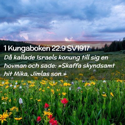 Picture 02 - 1 Kungaboken 22:9 SV1917 - Då kallade Israels konung till sig en hovman och - Bible Verse Picture