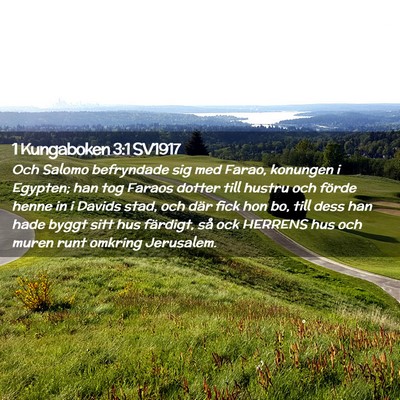 Picture 02 - 1 Kungaboken 3:1 SV1917 - Och Salomo befryndade sig med Farao, konungen i - Bible Verse Picture