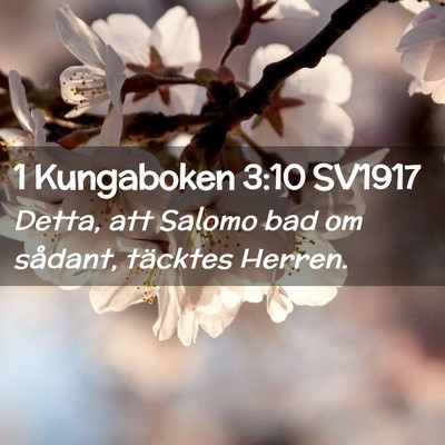 Picture 02 - 1 Kungaboken 3:10 SV1917 - Detta, att Salomo bad om sådant, täcktes - Bible Verse Picture