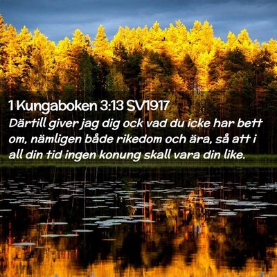 Picture 02 - 1 Kungaboken 3:13 SV1917 - Därtill giver jag dig ock vad du icke har bett - Bible Verse Picture