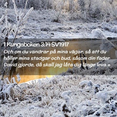 Picture 02 - 1 Kungaboken 3:14 SV1917 - Och om du vandrar på mina vägar, så att du - Bible Verse Picture
