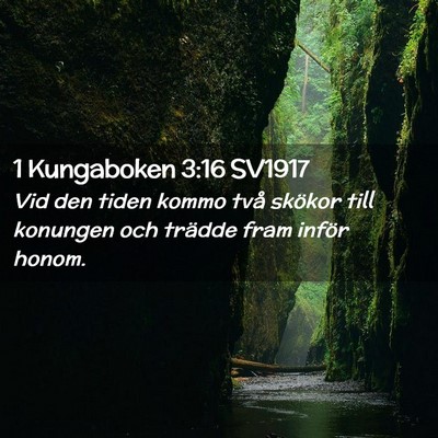 Picture 02 - 1 Kungaboken 3:16 SV1917 - Vid den tiden kommo två skökor till konungen - Bible Verse Picture