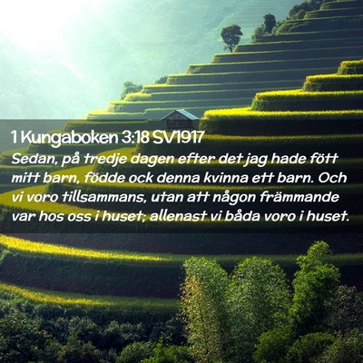 Picture 02 - 1 Kungaboken 3:18 SV1917 - Sedan, på tredje dagen efter det jag hade fött - Bible Verse Picture