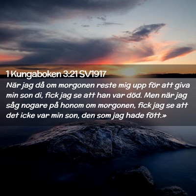 Picture 02 - 1 Kungaboken 3:21 SV1917 - När jag då om morgonen reste mig upp för att - Bible Verse Picture