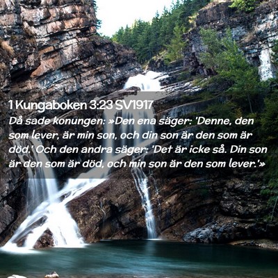 Picture 02 - 1 Kungaboken 3:23 SV1917 - Då sade konungen: »Den ena säger: 'Denne, den - Bible Verse Picture