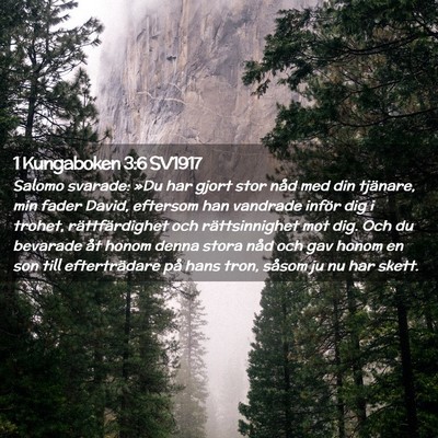 Picture 02 - 1 Kungaboken 3:6 SV1917 - Salomo svarade: »Du har gjort stor nåd med din - Bible Verse Picture