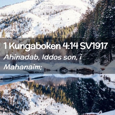 Picture 02 - 1 Kungaboken 4:14 SV1917 - Ahinadab, Iddos son, i - Bible Verse Picture