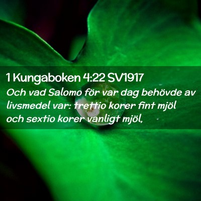 Picture 02 - 1 Kungaboken 4:22 SV1917 - Och vad Salomo för var dag behövde av livsmedel - Bible Verse Picture
