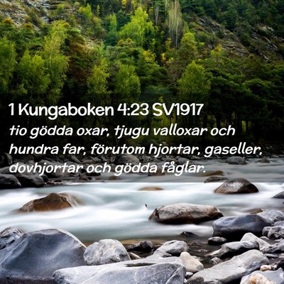 Picture 02 - 1 Kungaboken 4:23 SV1917 - tio gödda oxar, tjugu valloxar och hundra far, - Bible Verse Picture