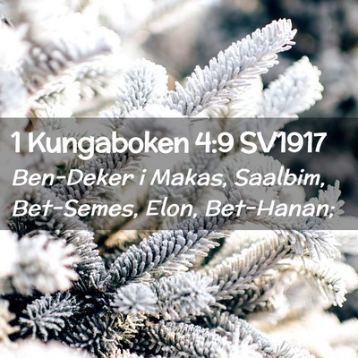 Picture 02 - 1 Kungaboken 4:9 SV1917 - Ben-Deker i Makas, Saalbim, Bet-Semes, Elon, - Bible Verse Picture