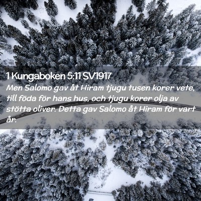 Picture 02 - 1 Kungaboken 5:11 SV1917 - Men Salomo gav åt Hiram tjugu tusen korer vete, - Bible Verse Picture