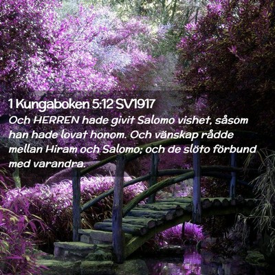 Picture 02 - 1 Kungaboken 5:12 SV1917 - Och HERREN hade givit Salomo vishet, såsom han - Bible Verse Picture
