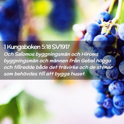 Picture 02 - 1 Kungaboken 5:18 SV1917 - Och Salomos byggningsmän och Hiroms - Bible Verse Picture