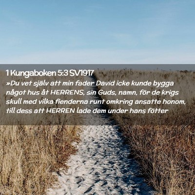 Picture 02 - 1 Kungaboken 5:3 SV1917 - »Du vet själv att min fader David icke kunde - Bible Verse Picture