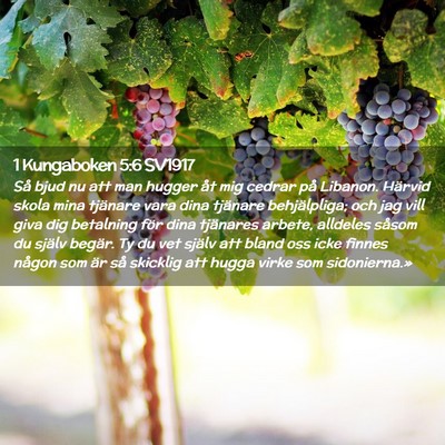 Picture 02 - 1 Kungaboken 5:6 SV1917 - Så bjud nu att man hugger åt mig cedrar på - Bible Verse Picture