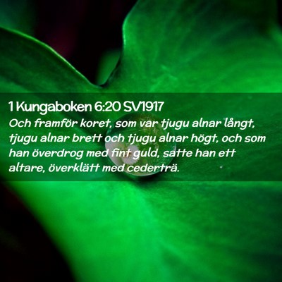 Picture 02 - 1 Kungaboken 6:20 SV1917 - Och framför koret, som var tjugu alnar långt, - Bible Verse Picture