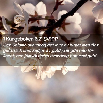 Picture 02 - 1 Kungaboken 6:21 SV1917 - Och Salomo överdrog det inre av huset med fint - Bible Verse Picture