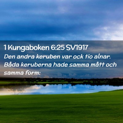 Picture 02 - 1 Kungaboken 6:25 SV1917 - Den andra keruben var ock tio alnar. Båda - Bible Verse Picture