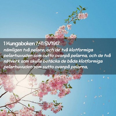 Picture 02 - 1 Kungaboken 7:41 SV1917 - nämligen två pelare, och de två klotformiga - Bible Verse Picture