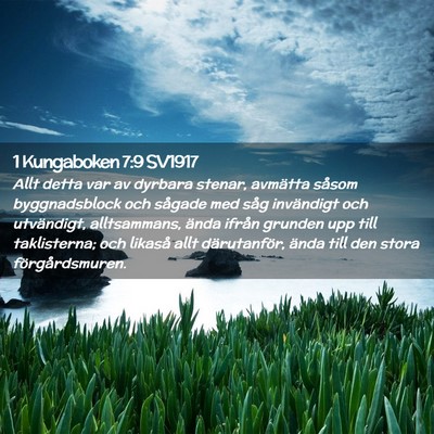 Picture 02 - 1 Kungaboken 7:9 SV1917 - Allt detta var av dyrbara stenar, avmätta såsom - Bible Verse Picture