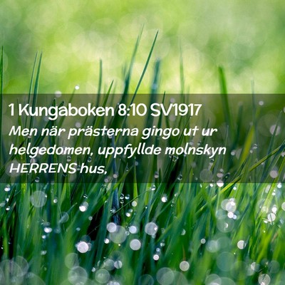Picture 02 - 1 Kungaboken 8:10 SV1917 - Men när prästerna gingo ut ur helgedomen, - Bible Verse Picture