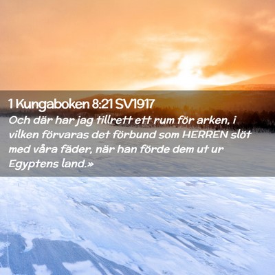 Picture 02 - 1 Kungaboken 8:21 SV1917 - Och där har jag tillrett ett rum för arken, i - Bible Verse Picture