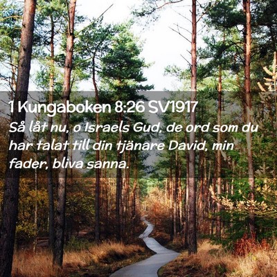 Picture 02 - 1 Kungaboken 8:26 SV1917 - Så låt nu, o Israels Gud, de ord som du har - Bible Verse Picture