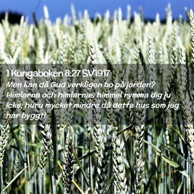 Picture 02 - 1 Kungaboken 8:27 SV1917 - Men kan då Gud verkligen bo på jorden? Himlarna - Bible Verse Picture