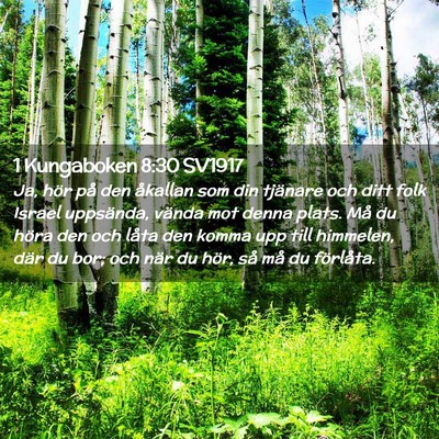 Picture 02 - 1 Kungaboken 8:30 SV1917 - Ja, hör på den åkallan som din tjänare och - Bible Verse Picture