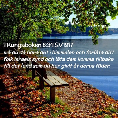 Picture 02 - 1 Kungaboken 8:34 SV1917 - må du då höra det i himmelen och förlåta - Bible Verse Picture