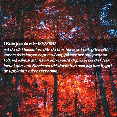 Picture 02 - 1 Kungaboken 8:43 SV1917 - må du då i himmelen, där du bor, höra det och - Bible Verse Picture