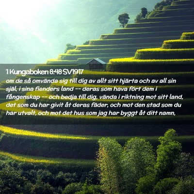 Picture 02 - 1 Kungaboken 8:48 SV1917 - om de så omvända sig till dig av allt sitt - Bible Verse Picture
