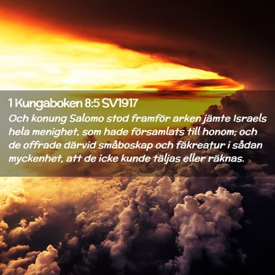 Picture 02 - 1 Kungaboken 8:5 SV1917 - Och konung Salomo stod framför arken jämte - Bible Verse Picture